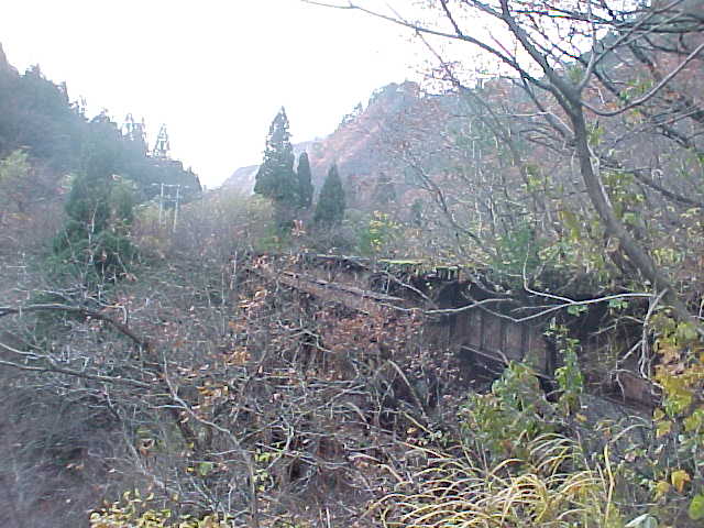 ʂĂS