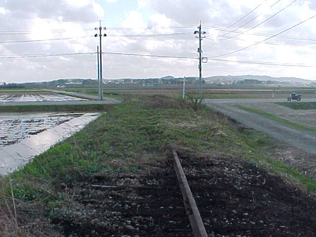 zg