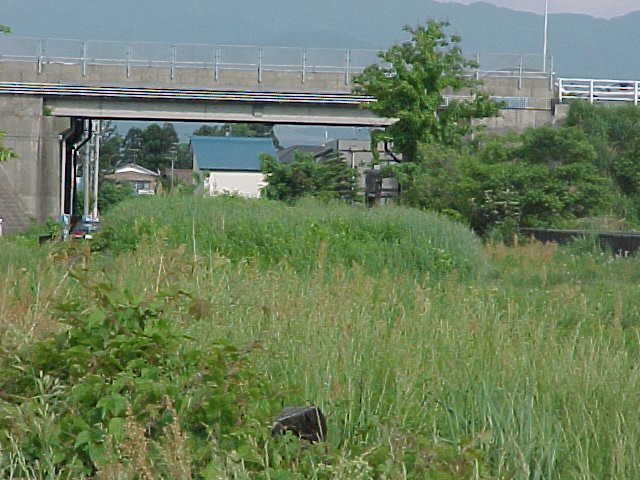 zw