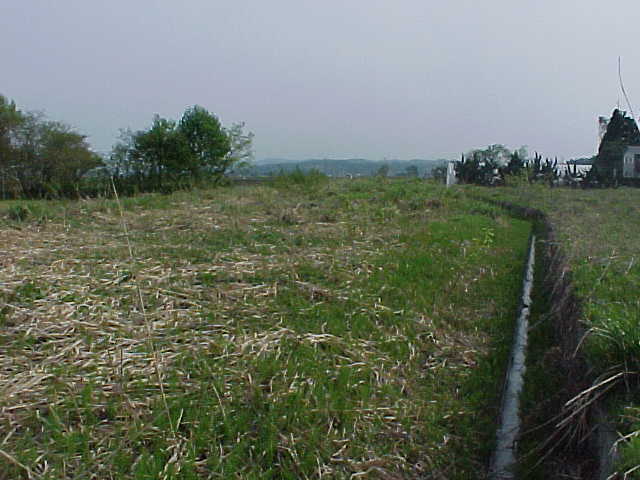xw