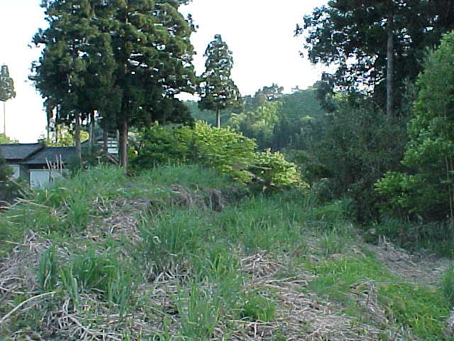 yqw