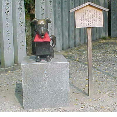 狗